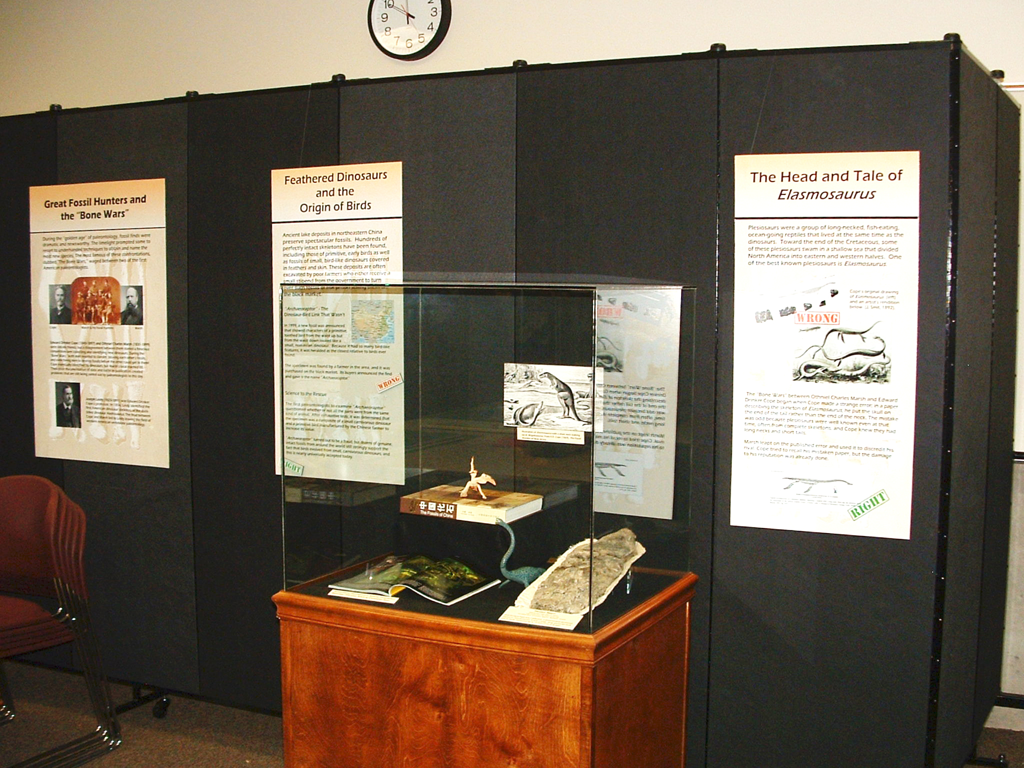 Flyers are tacked to a portable room divider used as a backdrop to a dinosaur exhibit