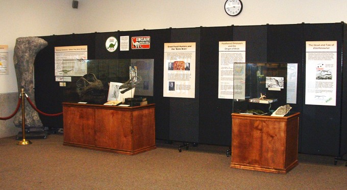 Posters on dinosaurs are tacked to a room divider behind a dinosaur exhibit