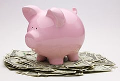 Piggy Bank with Money