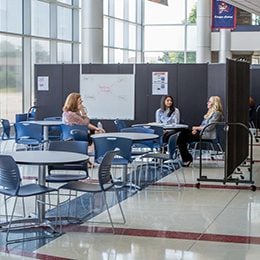 All-purpose room dividers