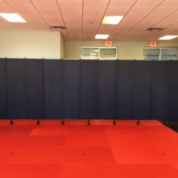Divider provides privacy in a karate studio