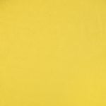 Designer Primary Yellow Color Swatch