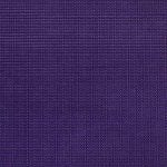 Designer Purple Color Swatch 