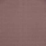 Designer Rose Color Swatch 