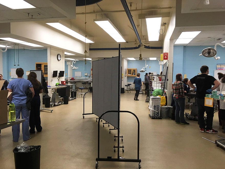 Screenflex divider separates a college veterinary lab into smaller labs