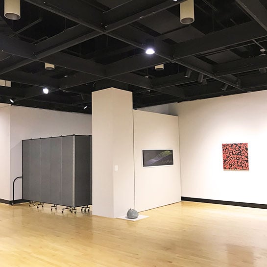 Art gallery exhibit by a portable partition