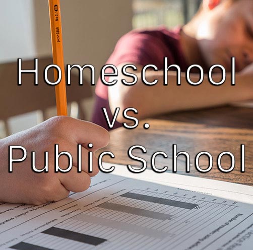 homeschool vs public school research paper