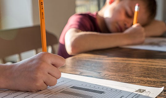 homeschool vs public school two kids doing assignments at a home desk