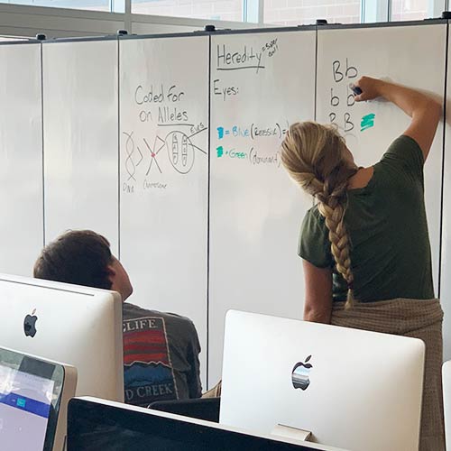 Portable Classroom DryErase Partition Screenflex Dividers